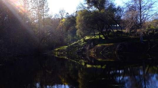 The lower pond at sunset
