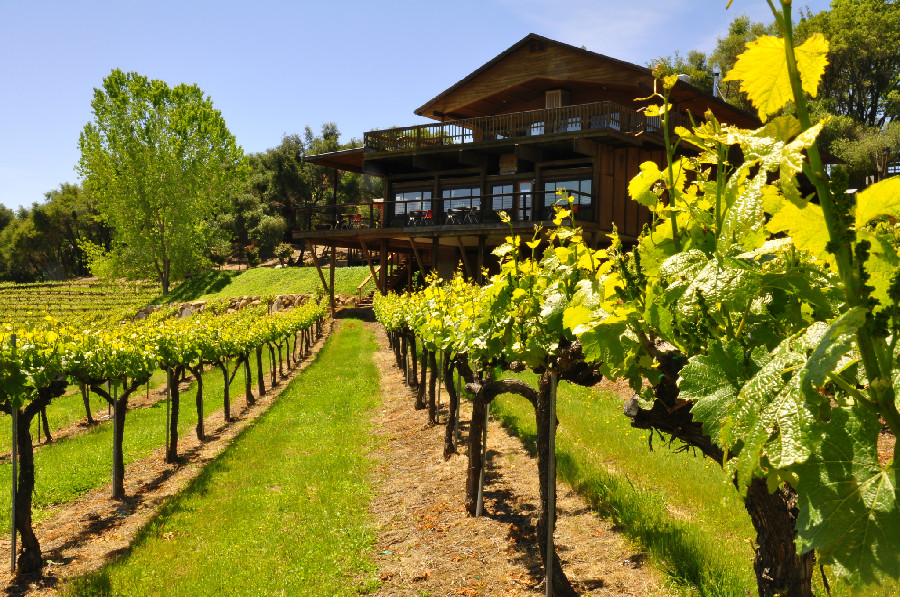 The Gold Hill tasting room and deck standing above rows of vines