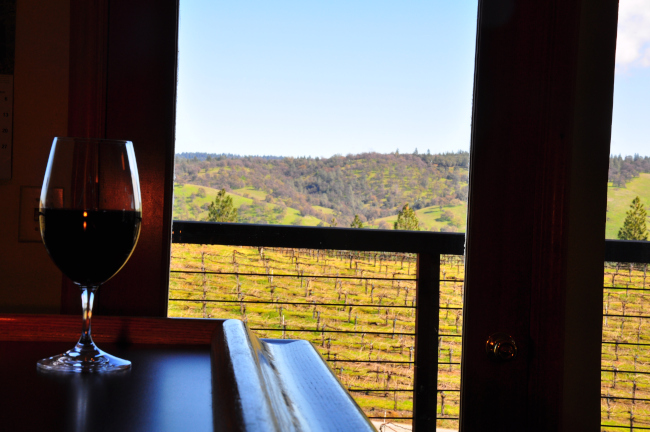 A glass of red wine on the tasting room bar with the hills beyond