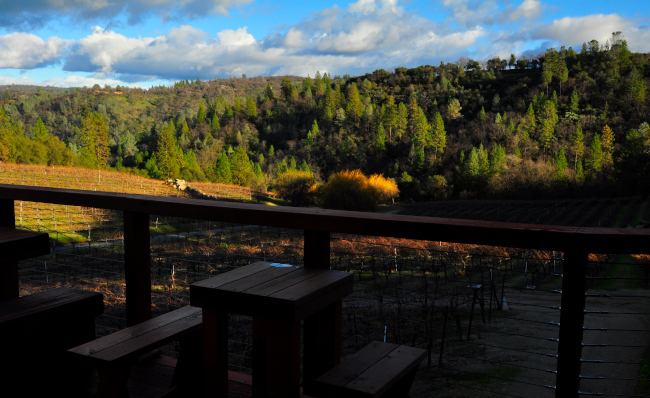 Picnic tables on the tasting room deck looking over bare winter vines to the wooded canyon