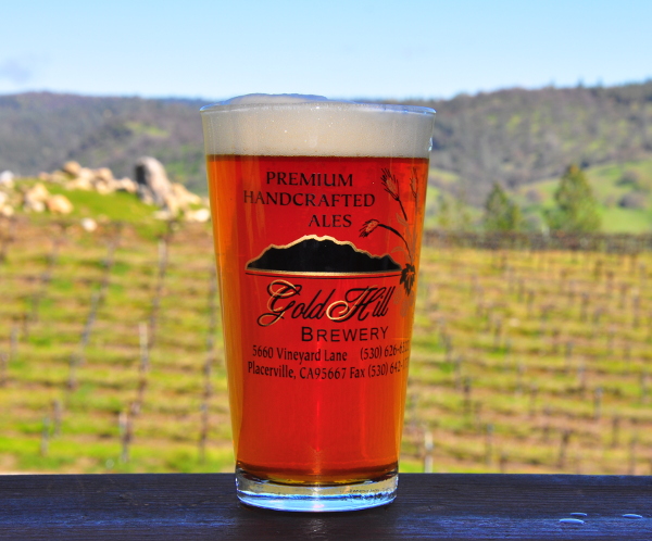 A pint of amber ale on a rail above the vineyard rows